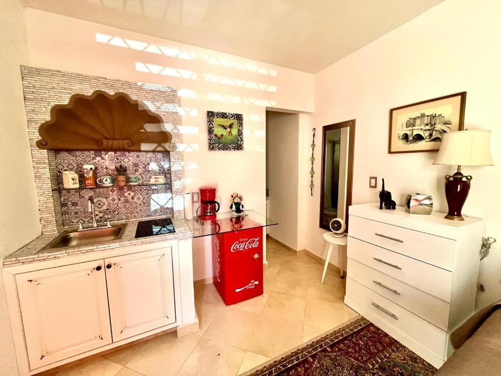 Small Pet Friendly, Pool And Gym Apartment San Miguel de Allende Buitenkant foto