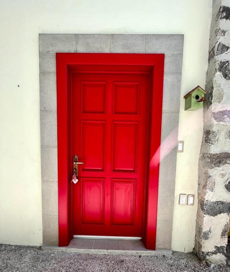 Small Pet Friendly, Pool And Gym Apartment San Miguel de Allende Buitenkant foto