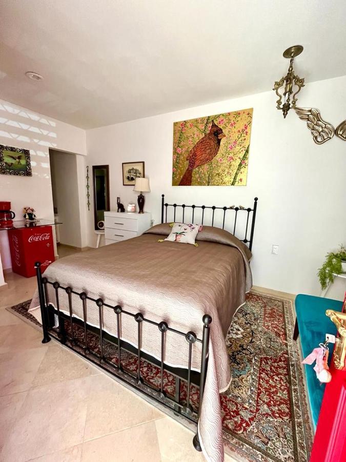 Small Pet Friendly, Pool And Gym Apartment San Miguel de Allende Buitenkant foto