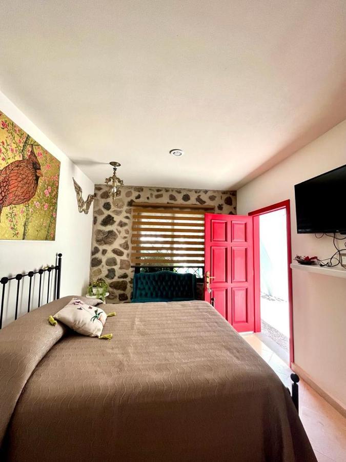 Small Pet Friendly, Pool And Gym Apartment San Miguel de Allende Buitenkant foto